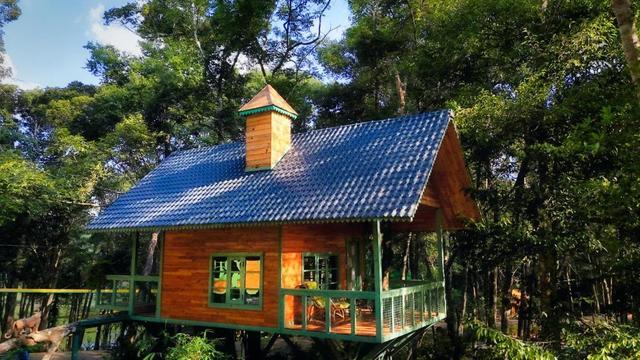 Khu nghỉ dưỡng giữa rừng thông tại Măng Đen