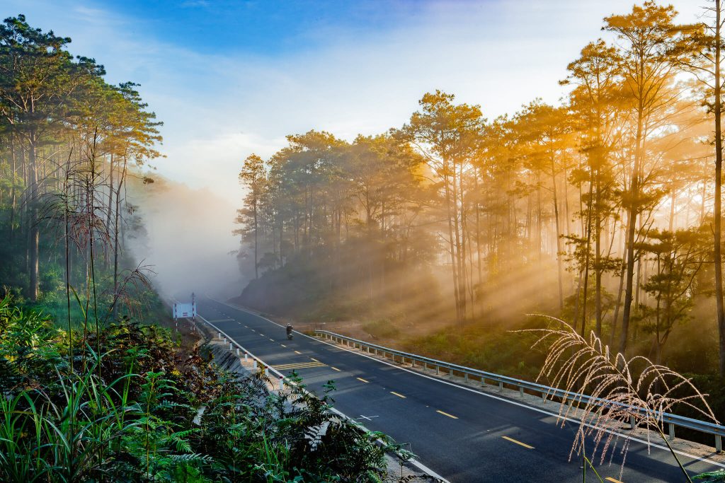 Đường đèo quanh co dẫn lên Măng Đen qua rừng thông Tây Nguyên